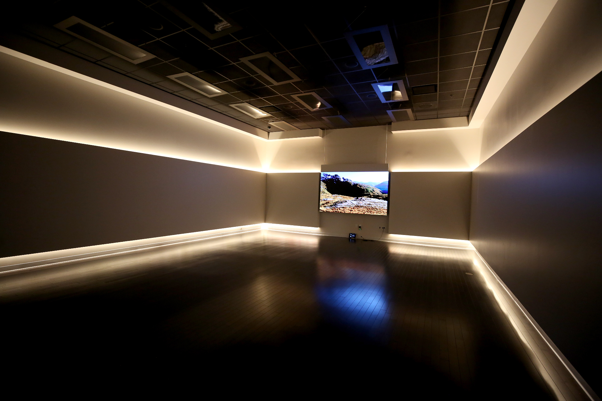 FREESOL studio